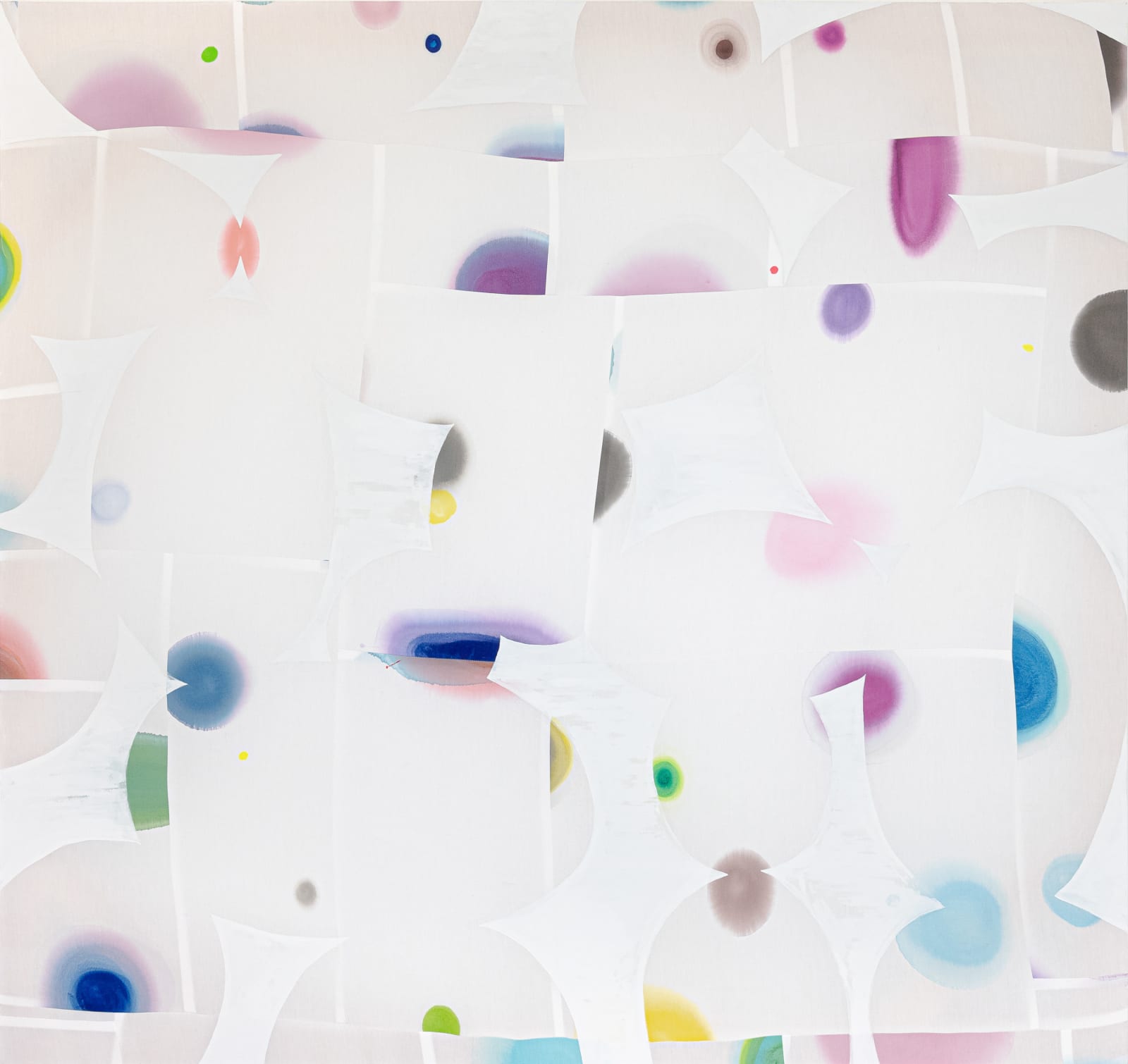Gina Occhiogrosso, Synergy, 2024