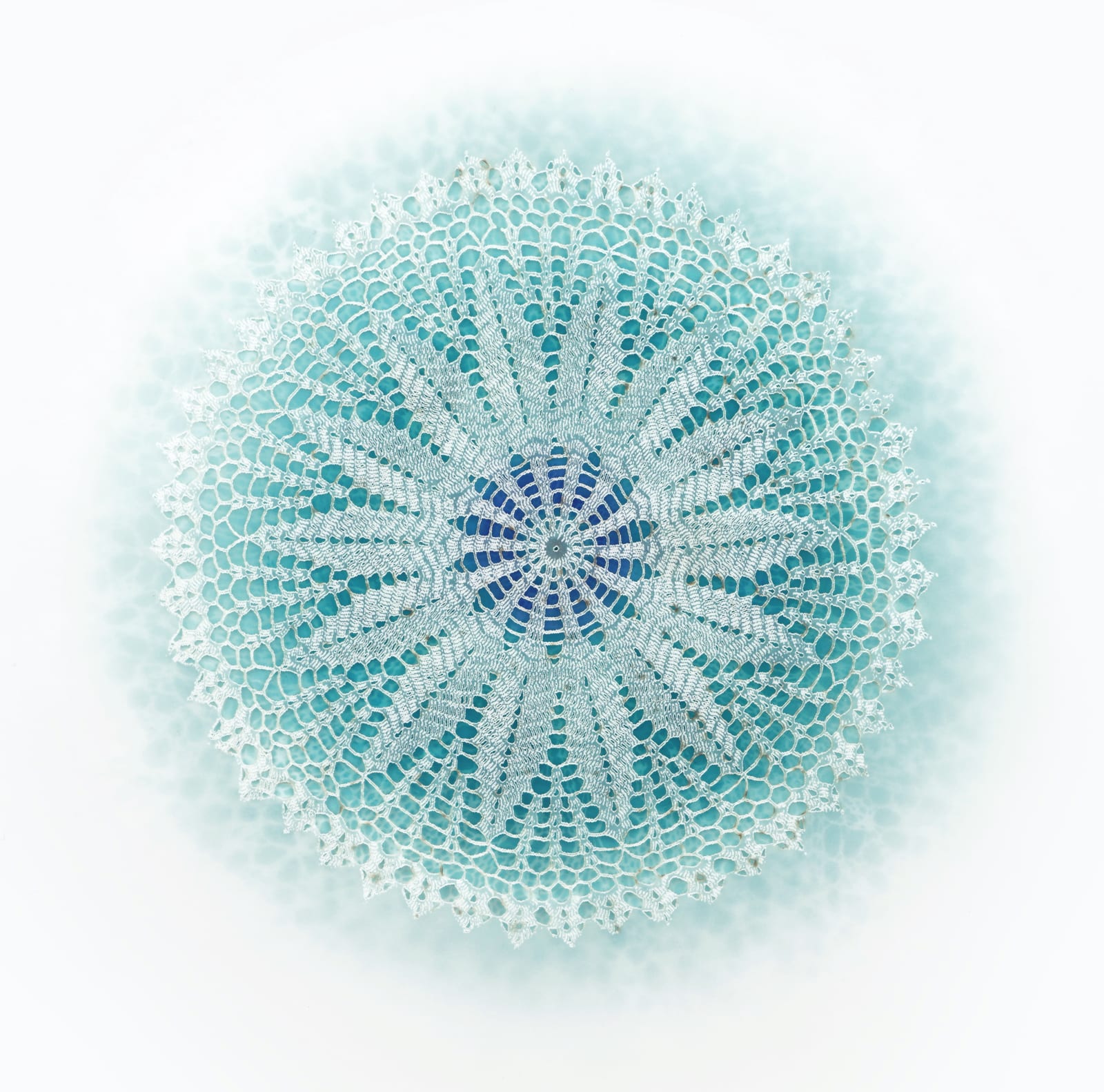 Amy Sands, Astra VII, 2024