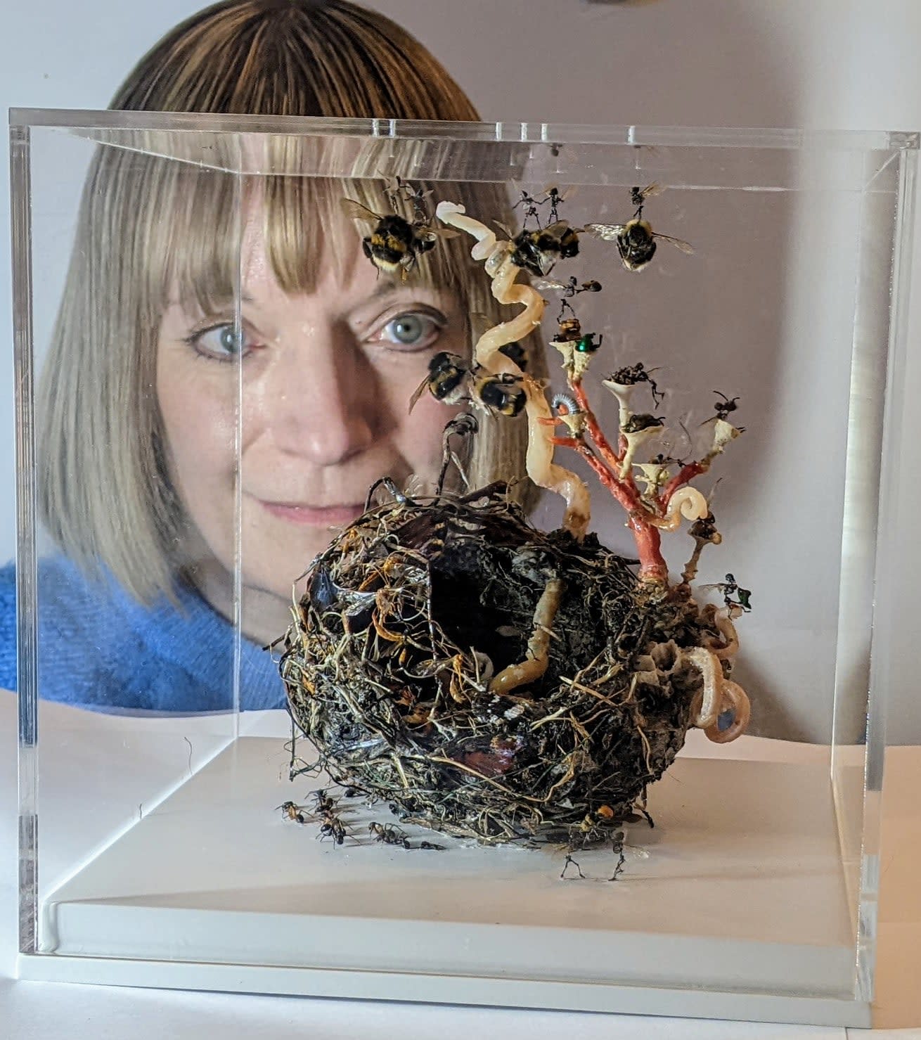 Tessa Farmer, Fairies in a Bird’s Nest (after John Anster Fitzgerald), 2024