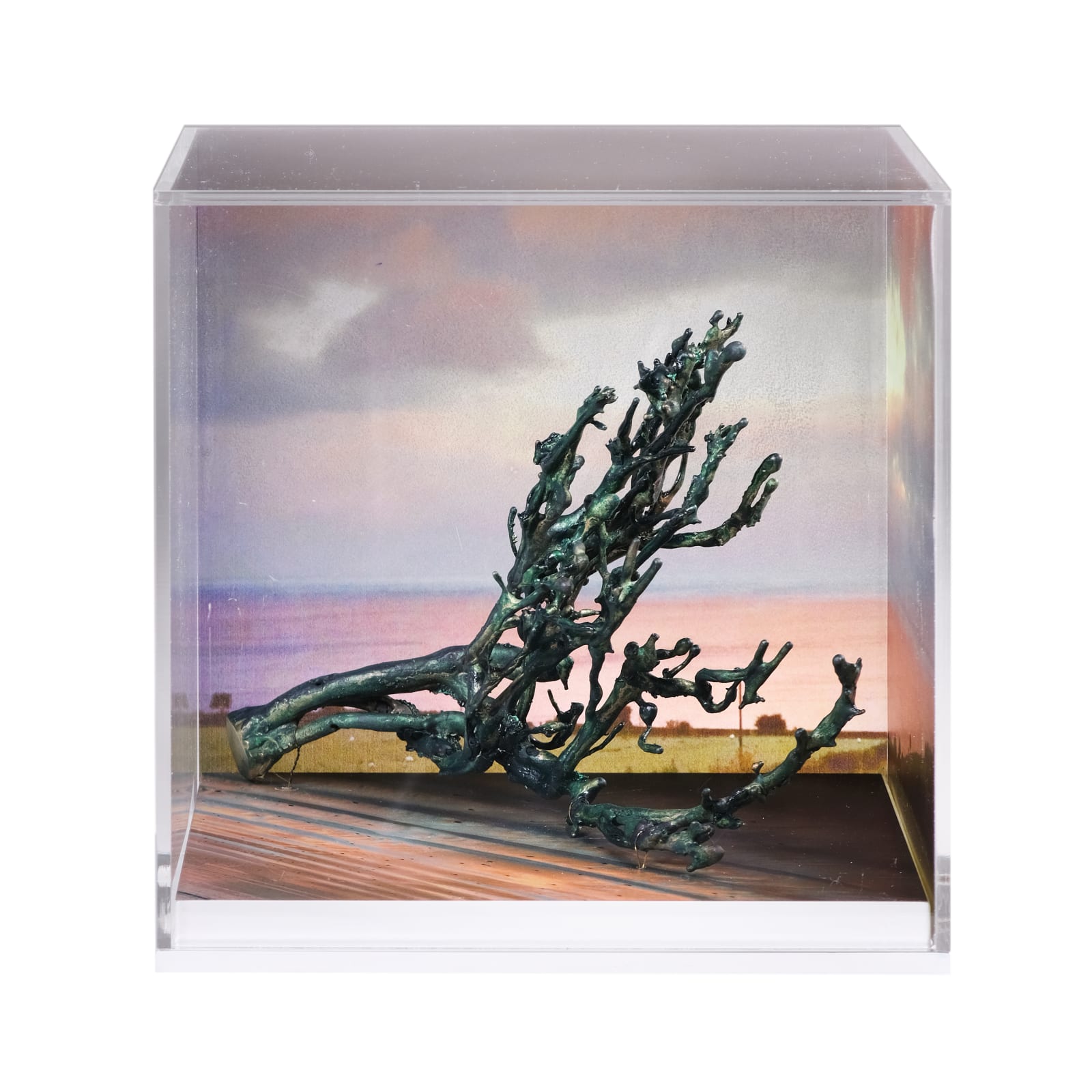 Elizabeth Magill, Portable Landscape (2), 2020