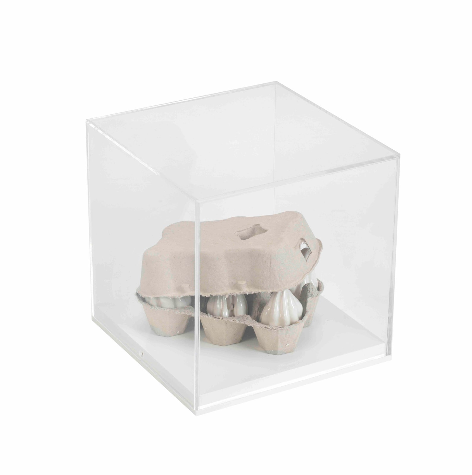 Rachel Kneebone, 5, 2014