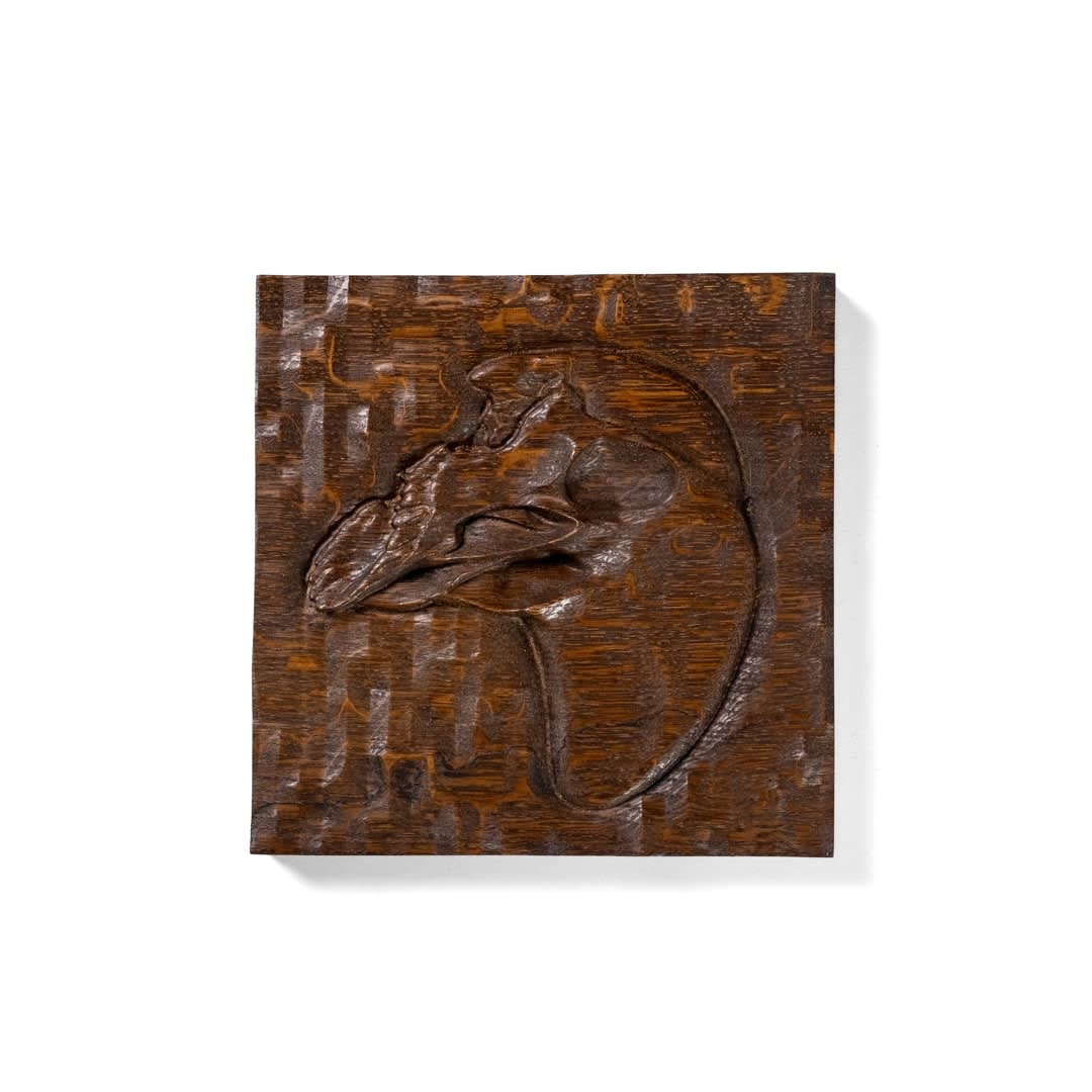 Jack Evans, Anamorphic IV, 2024