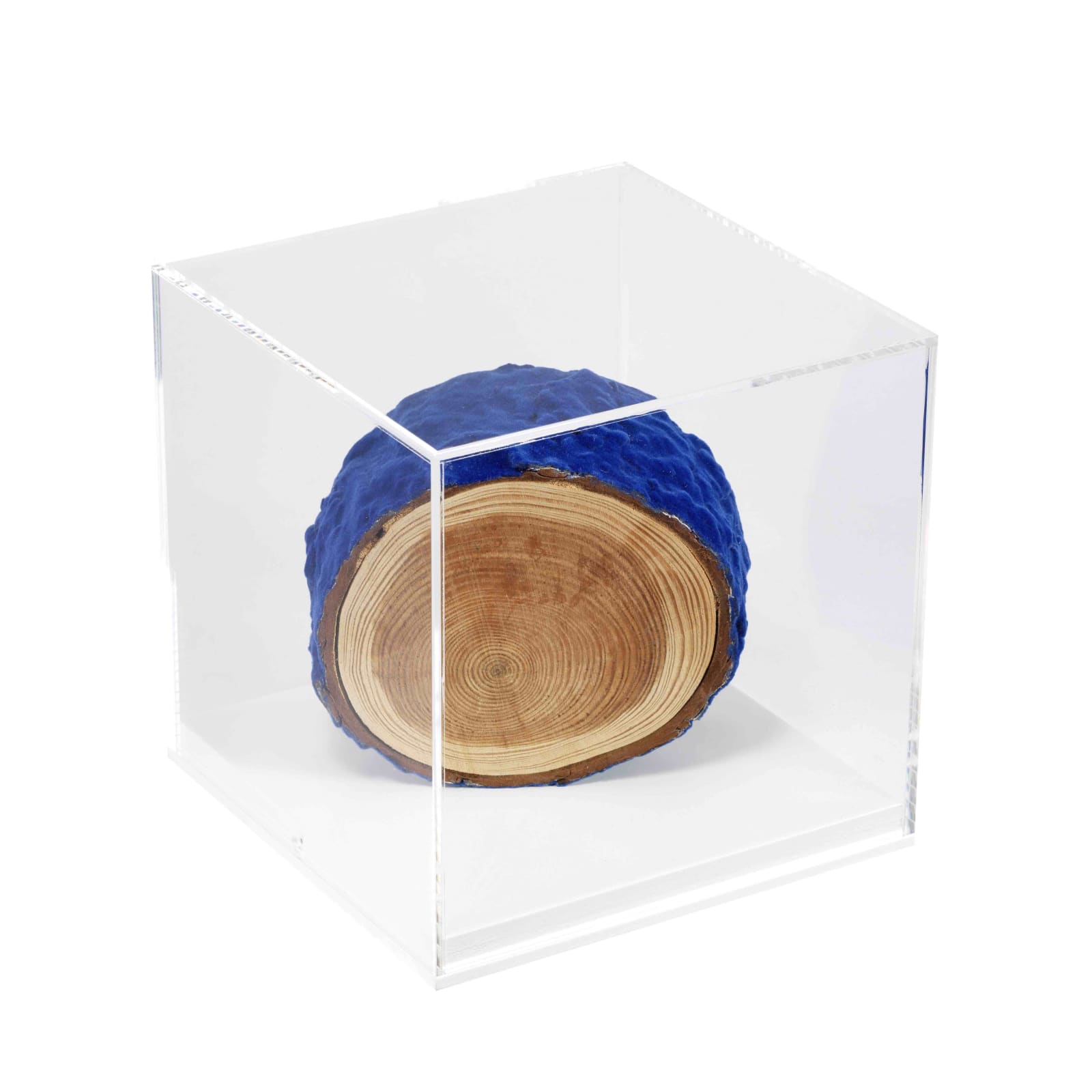 Amy Stephens, The Monochromatics, 2009