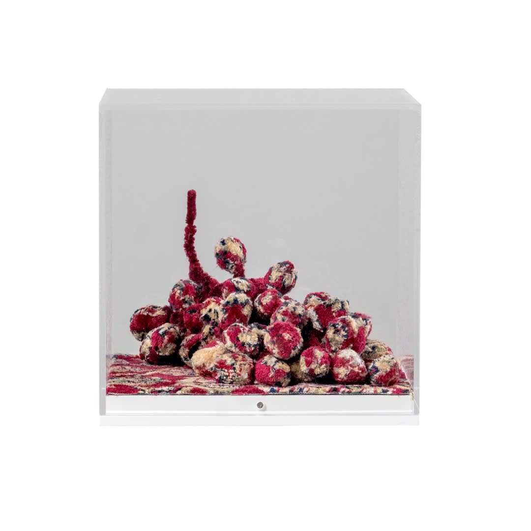 Debbie Lawson, Still Life (grapes), 2024