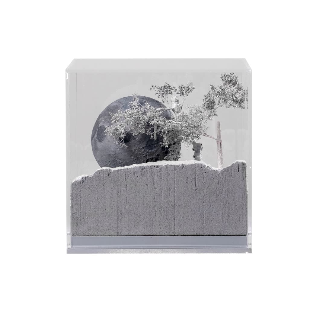 Saad Qureshi, Rebel Moon, 2024