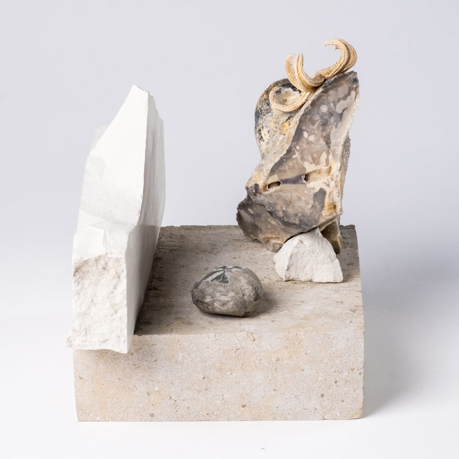 Antonia Beard in collaboration with John Lord, I've Always Wanted to be a Star, 2024