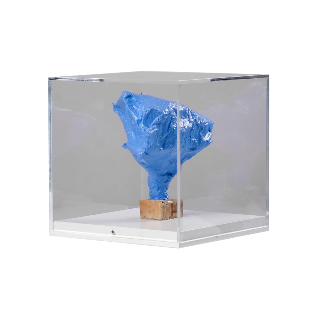 Ashley Cluer, Potential to Grow, 2024