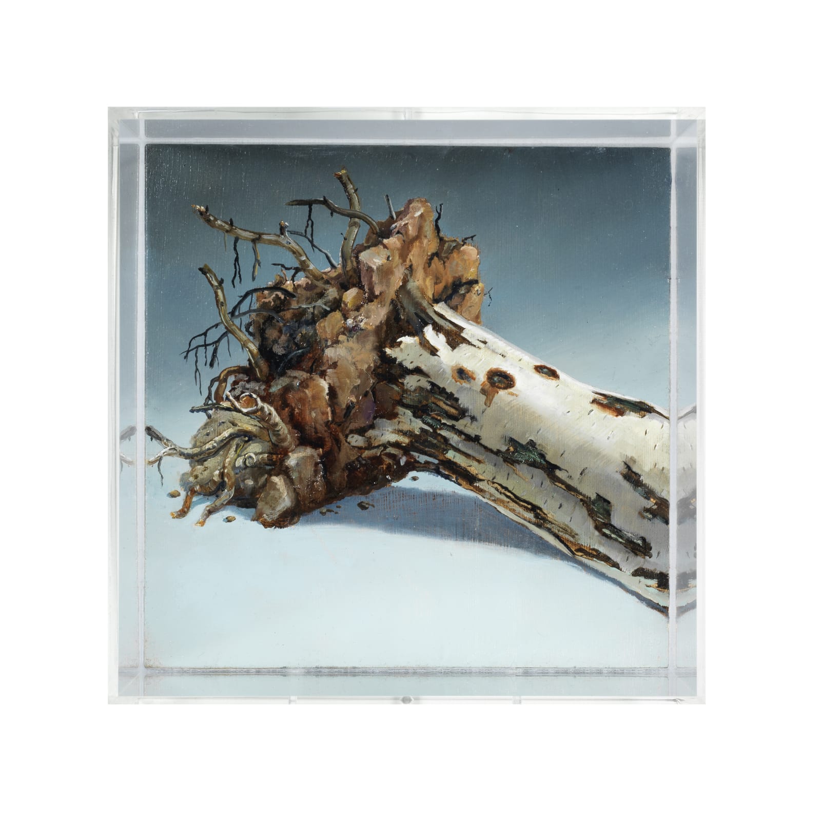Julian Perry, 5 Metres A Year, 2018