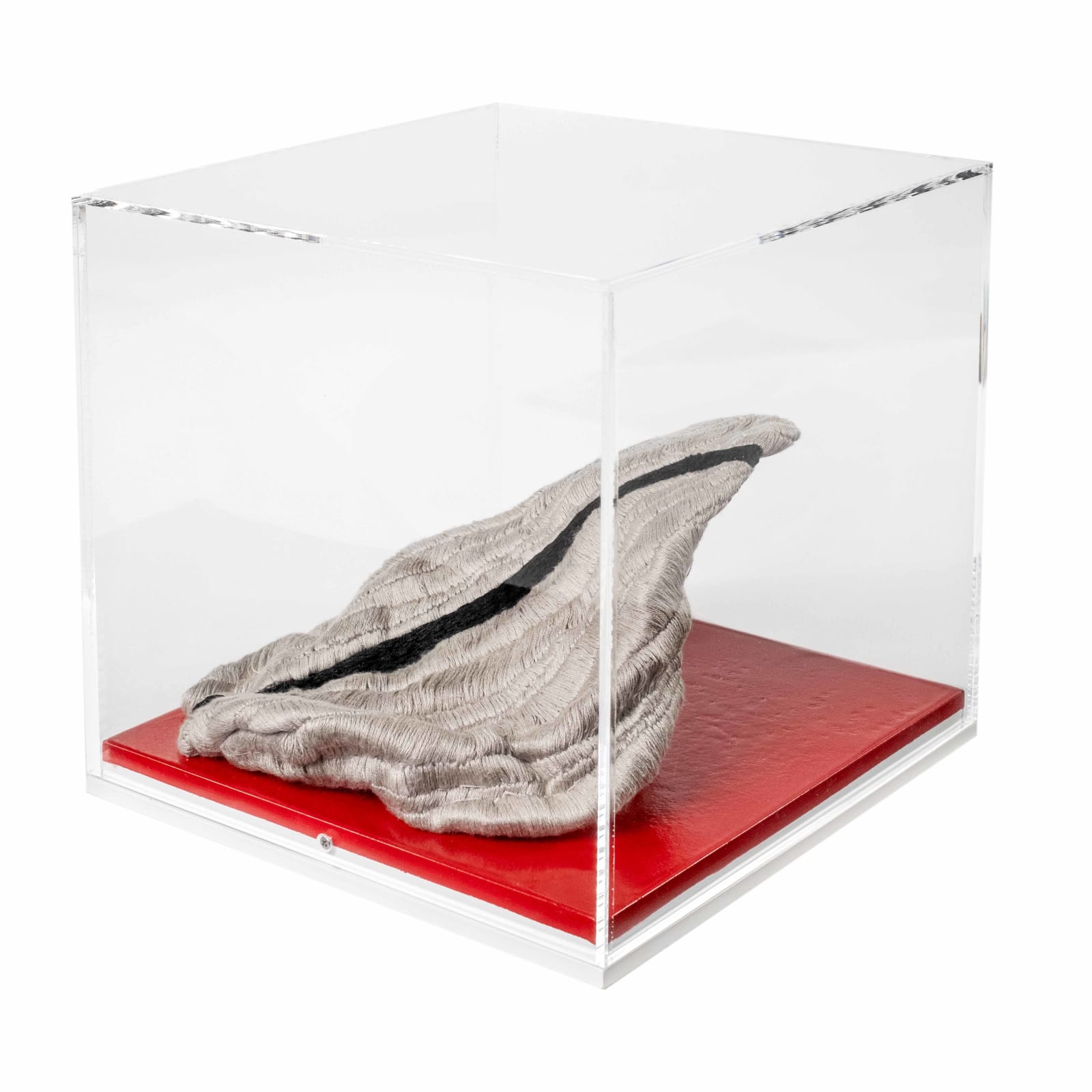 Carolina Mazzolari, 'Line' in a Cube, 2022