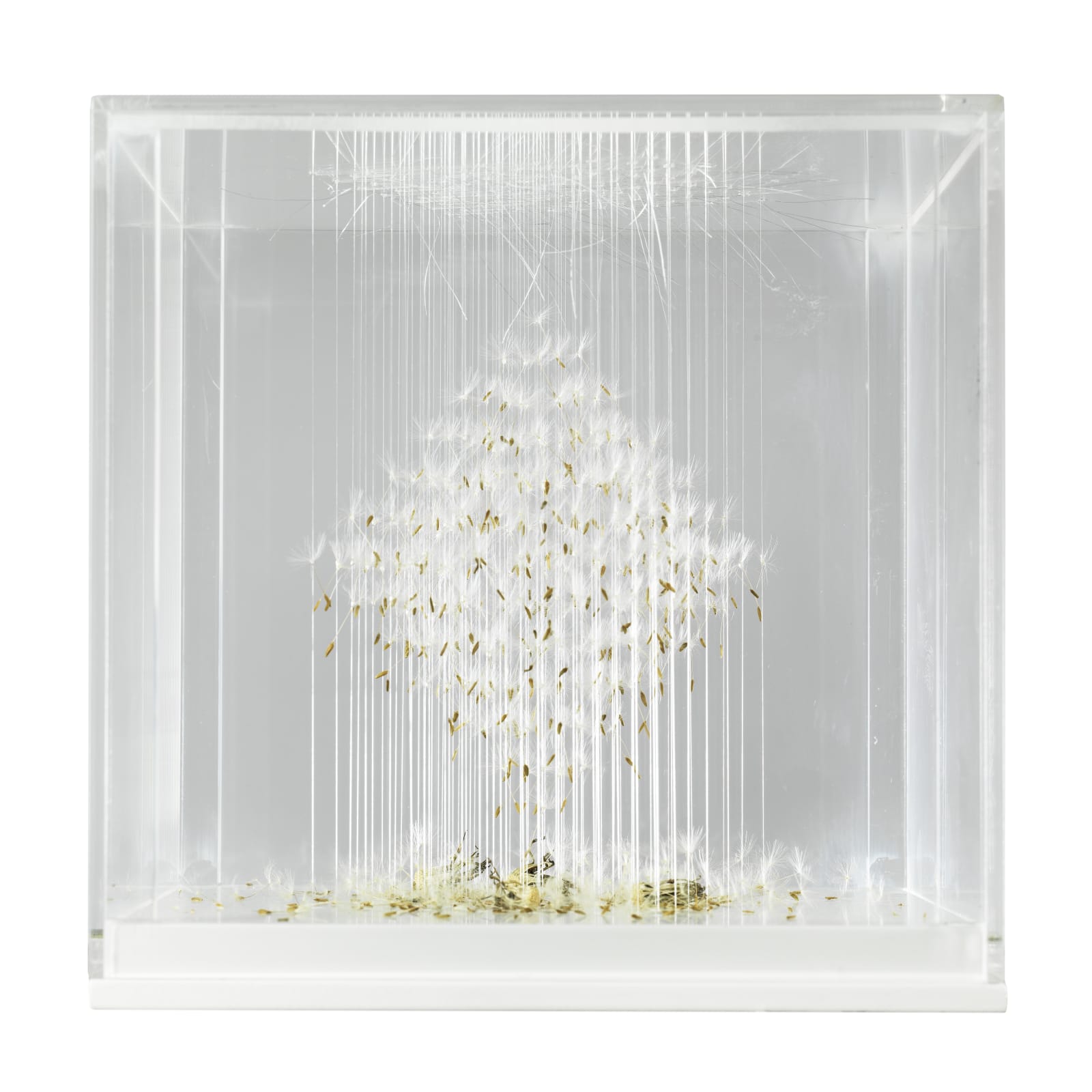 Claire Morgan, Whisht, 2018