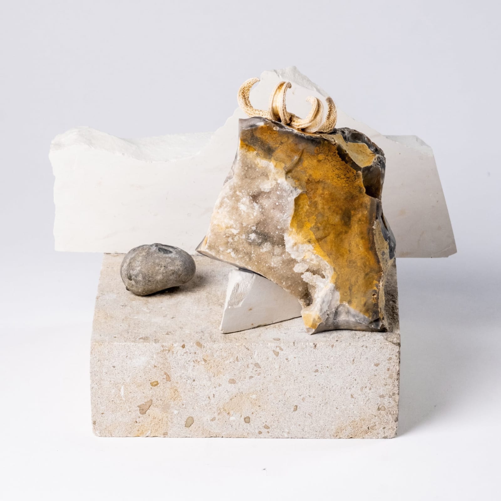 Antonia Beard in collaboration with John Lord, I've Always Wanted to be a Star, 2024