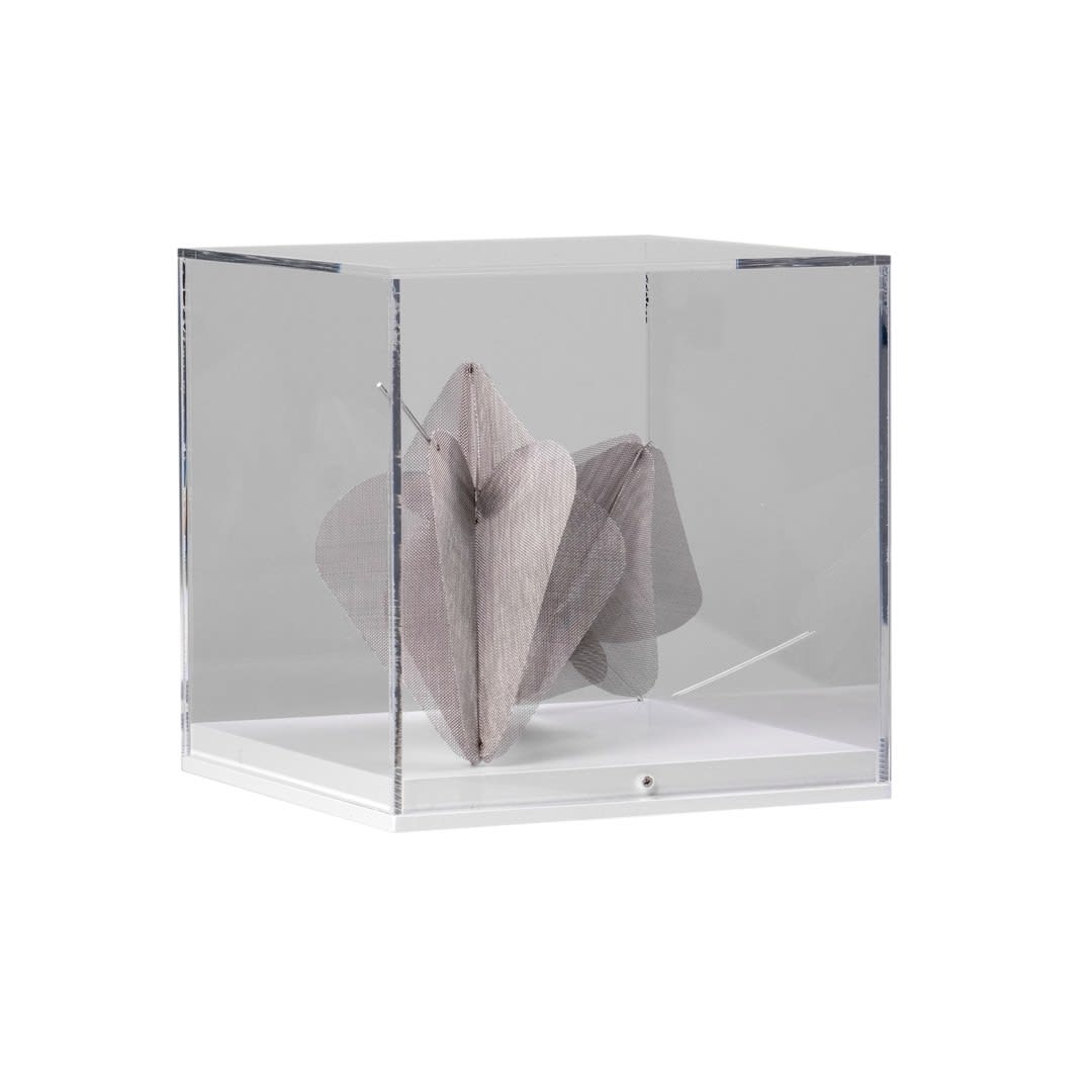 Zara Ramsay, Dyad, 2024