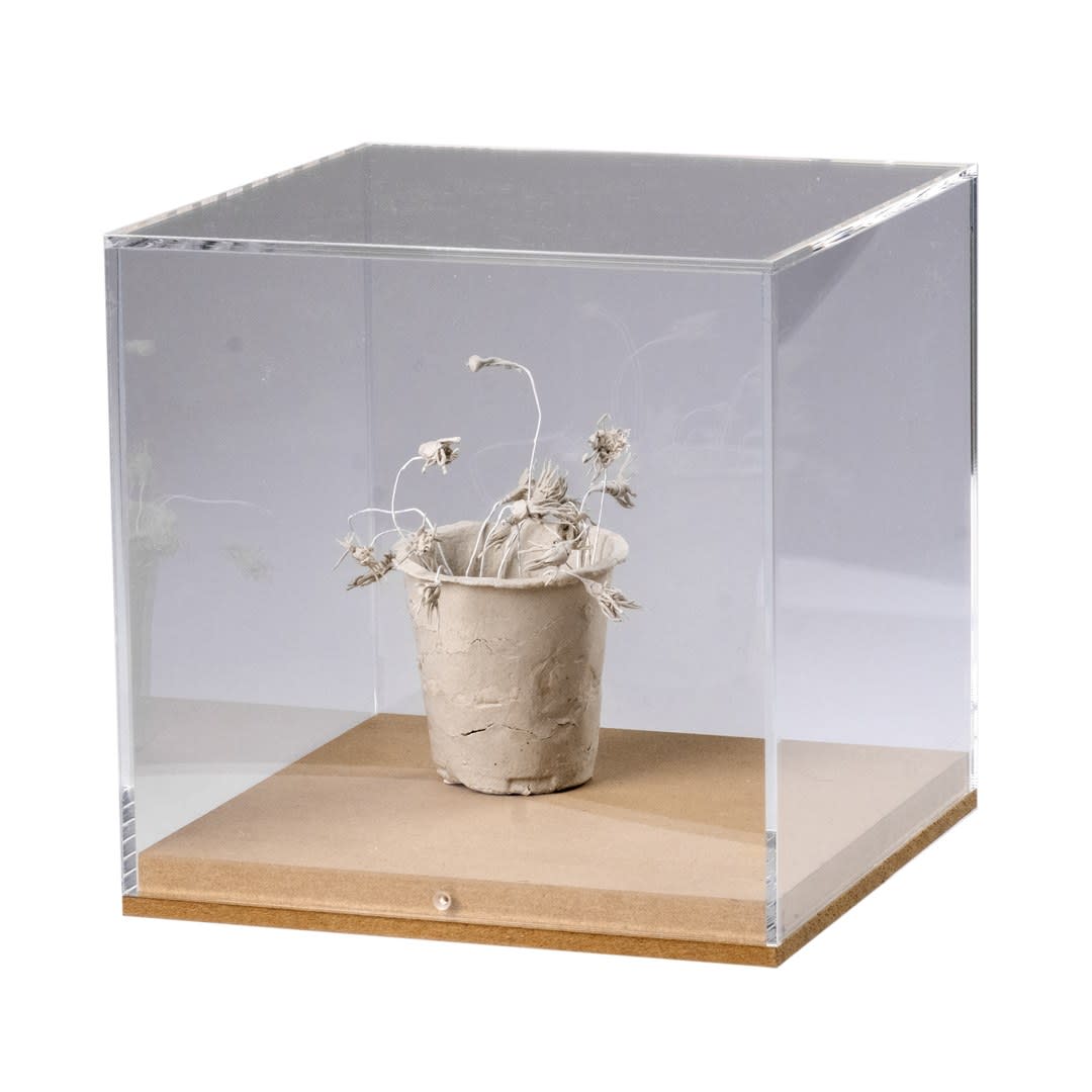 Daphne Wright, Small Token, 2024