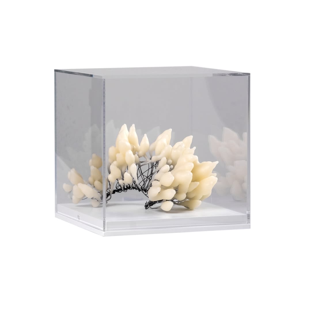 Susie MacMurray, Sense, 2024