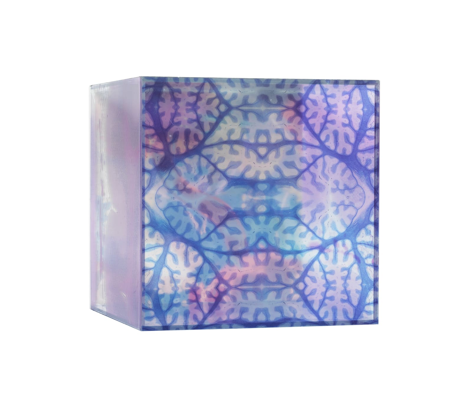 Dillwyn Smith, Brainbox, 2018