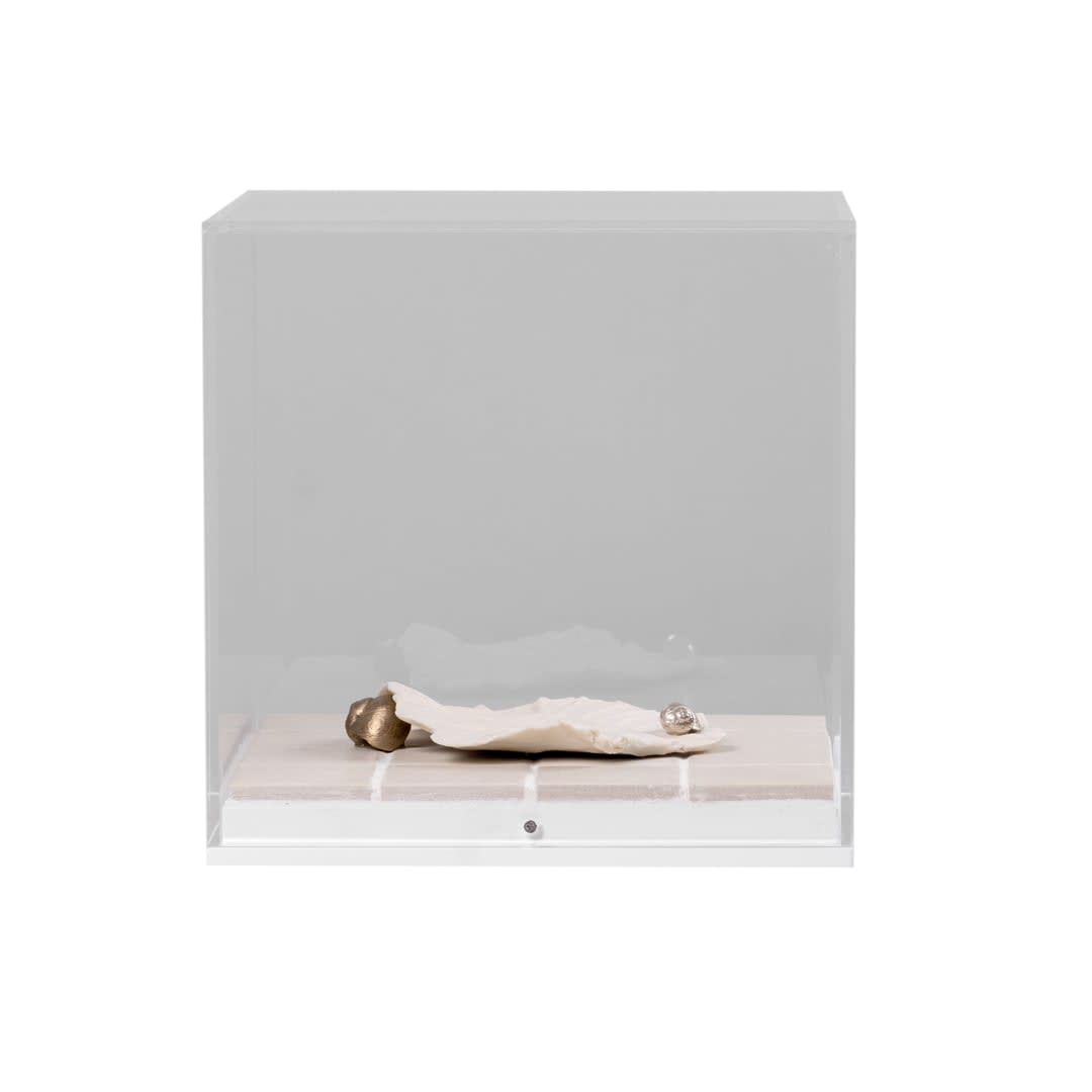 Elena Hoskyns-Abrahall, Snips and Snails, 2024