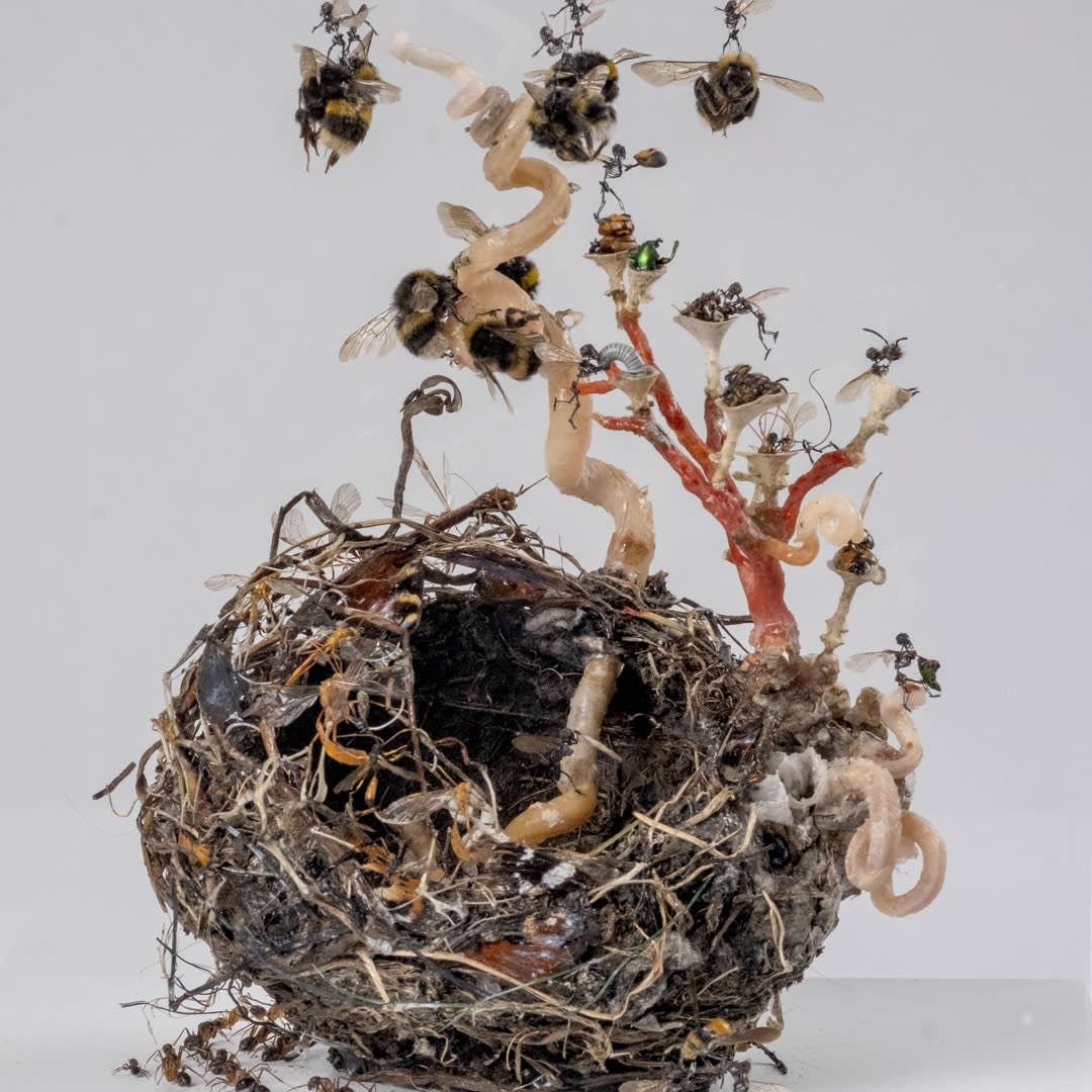 Tessa Farmer, Fairies in a Bird’s Nest (after John Anster Fitzgerald), 2024