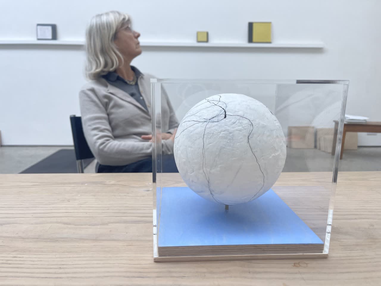 Vicken Parsons, Flyways, 2022