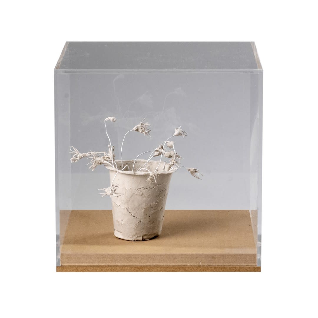 Daphne Wright, Small Token, 2024