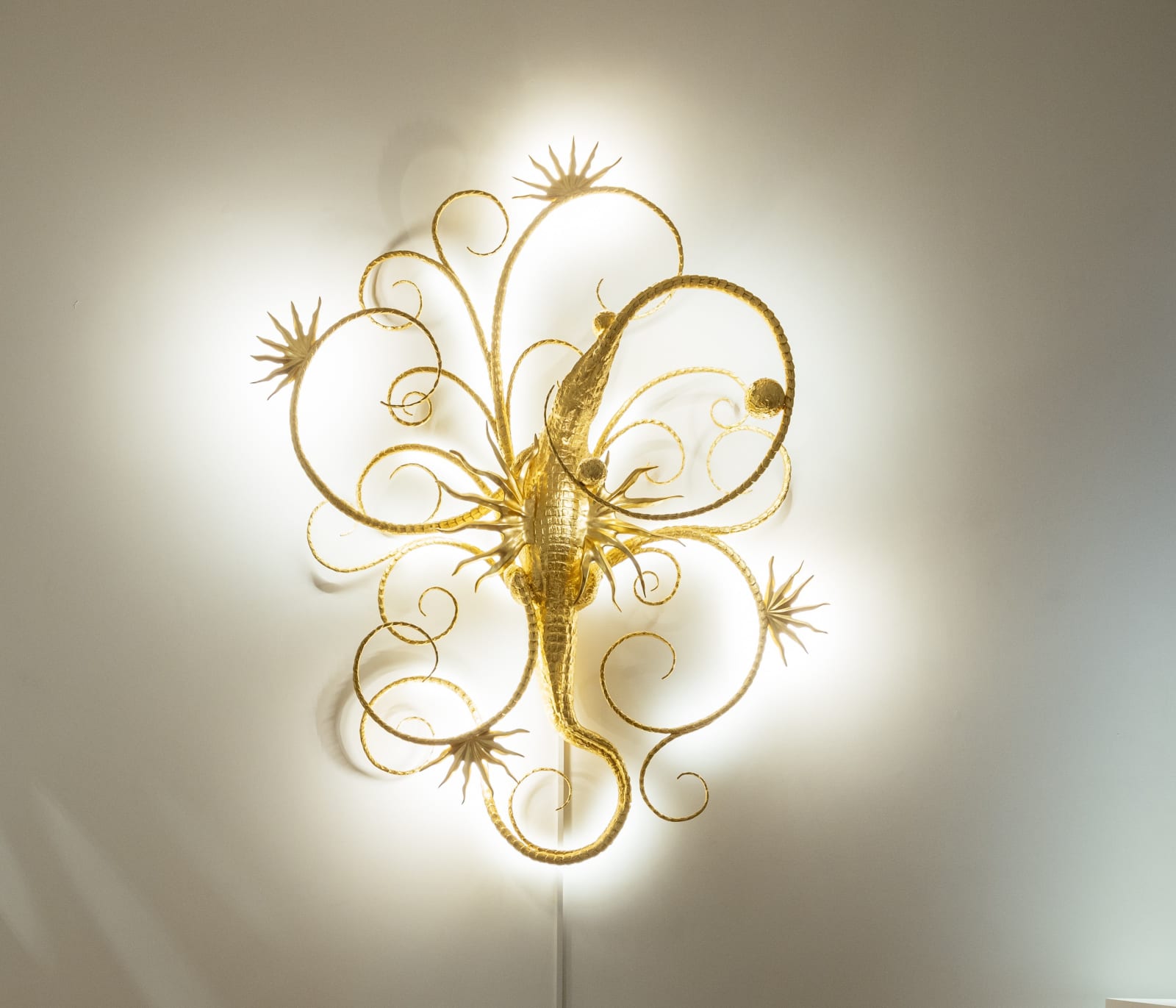 Hubert Le Gall, Astrocrokylus, 2022