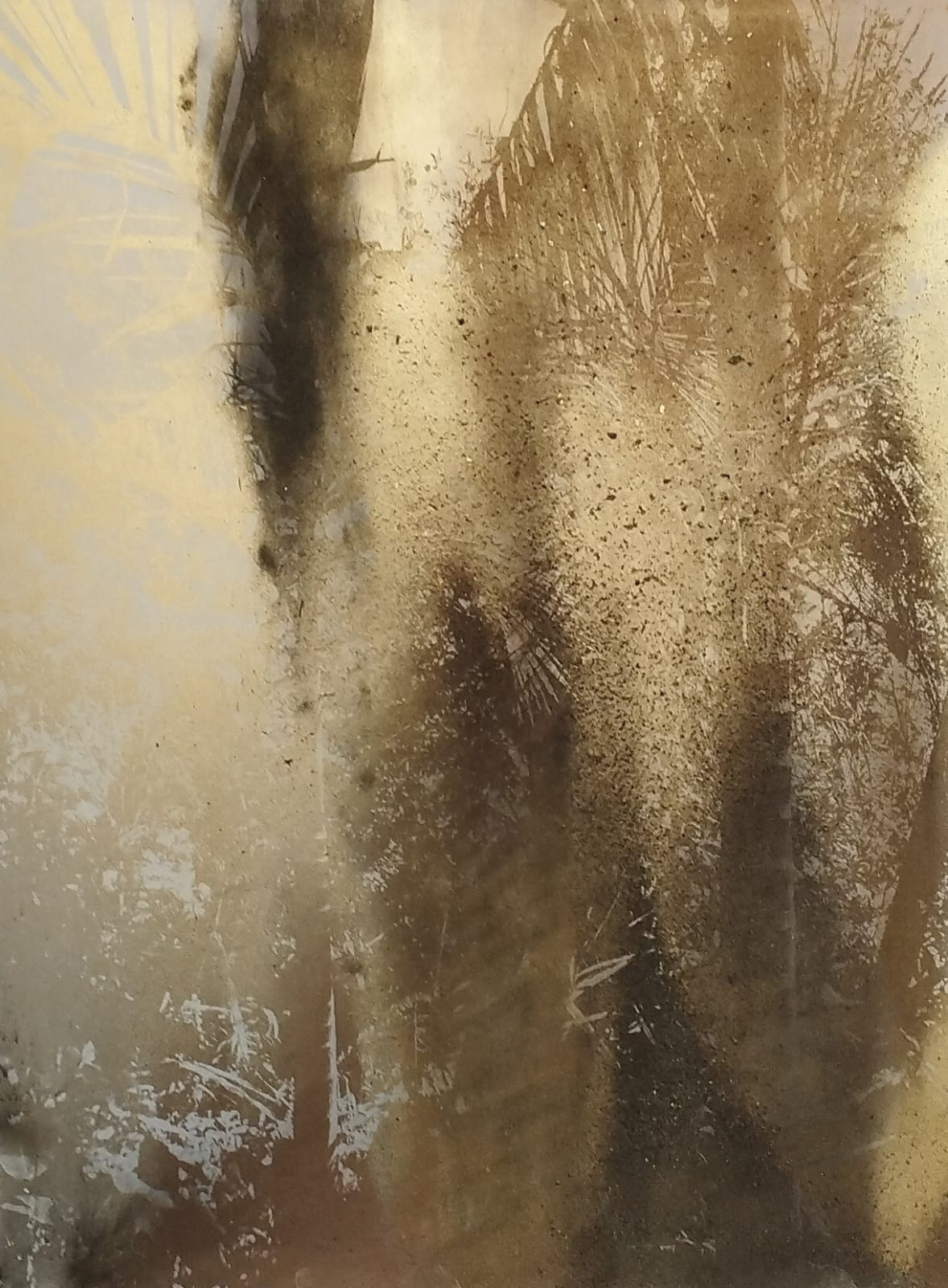 Lionel Sabatté, Jungle du 08-10-2024, 2024