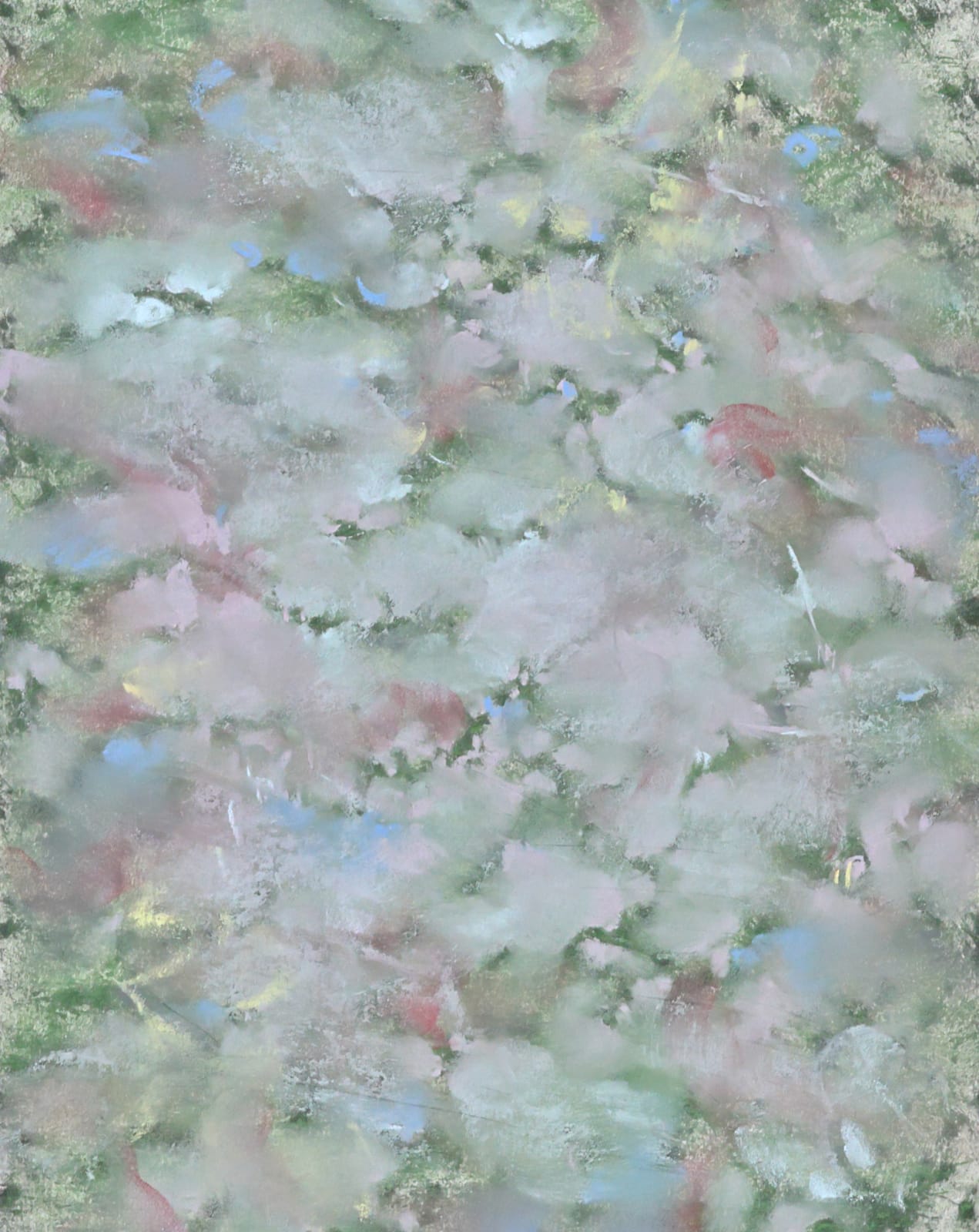 Yanqing Low, Dreams of Hamachi, 2024