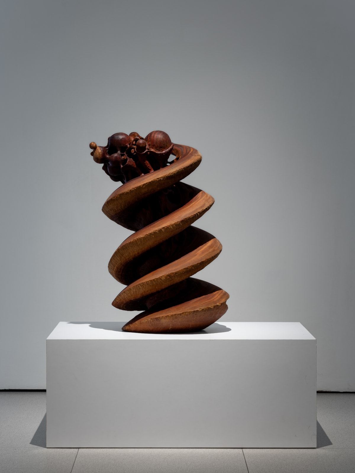 Steven Low, Spiral Into the Void, 2024