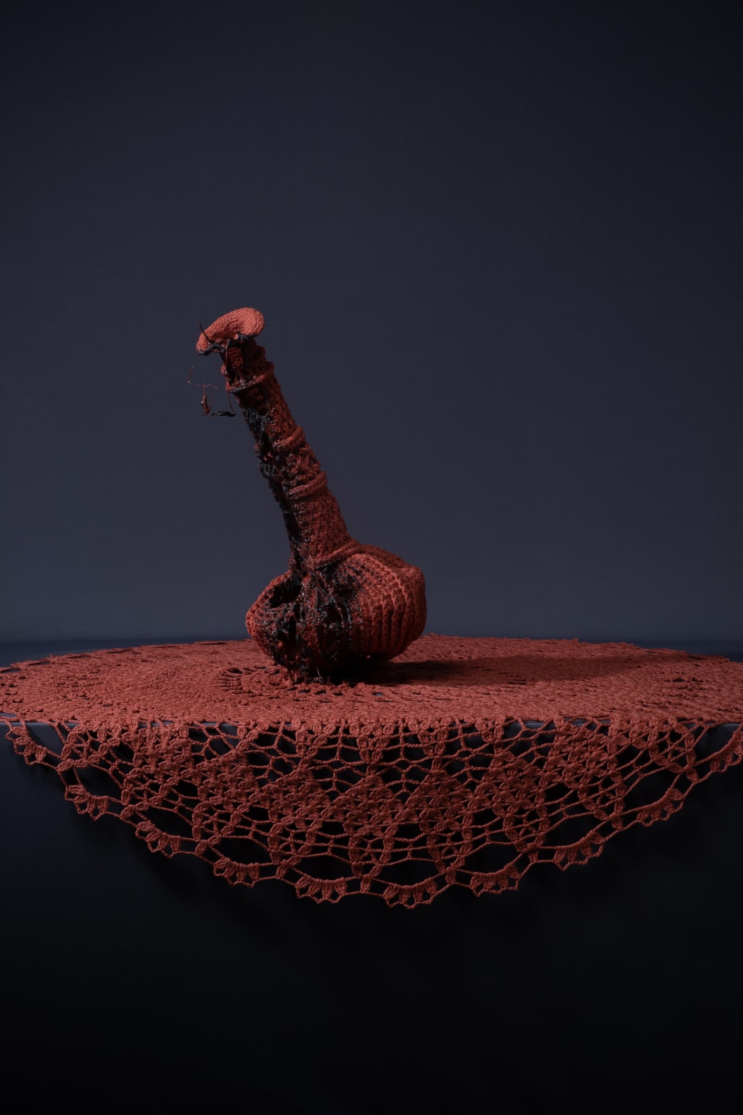 Kelly Limerick, Demure, 2022