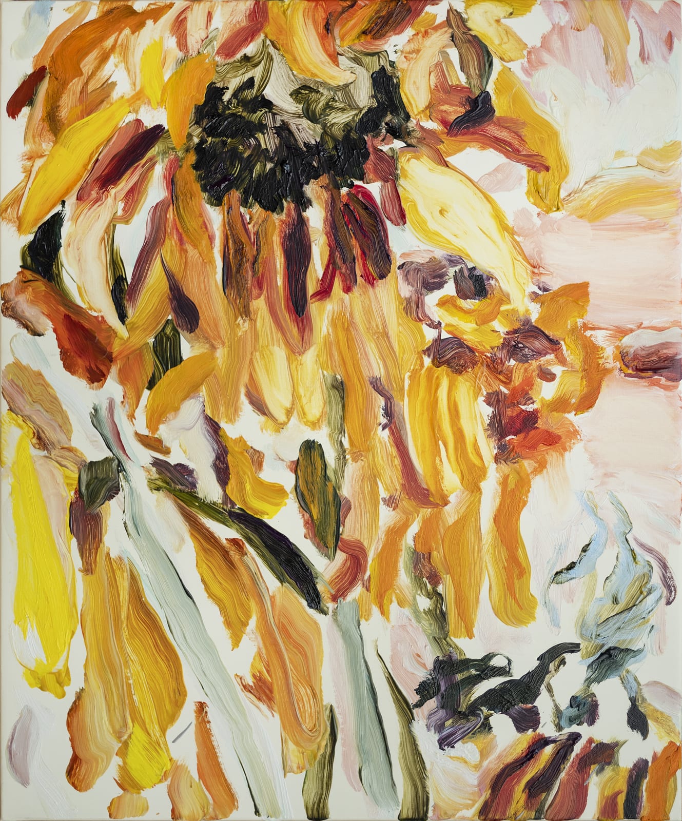 Gaël Davrinche, Tournesols - Focus, 2023