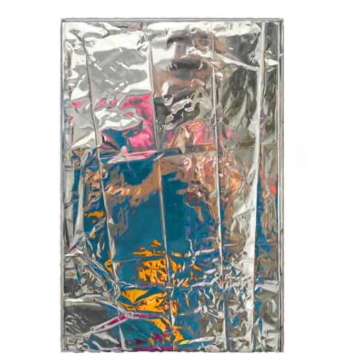 Gioele Amaro, Selfie with Blue Shirt, 2020