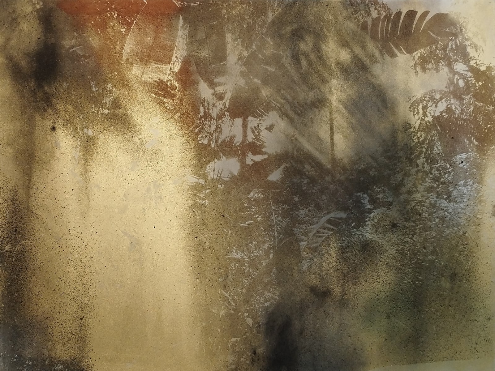 Lionel Sabatté, Jungle du 11-10-2024, 2024