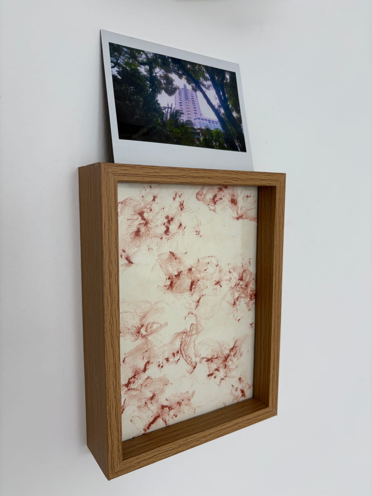 Marla Bendini, Conteng, 2025