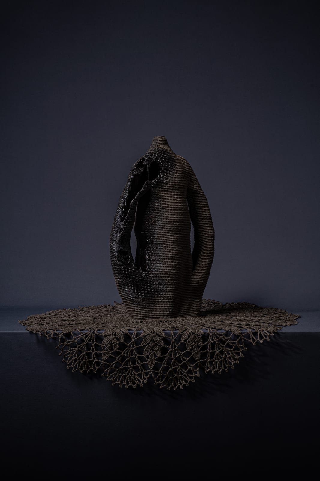 Kelly Limerick, Steadfast, 2022