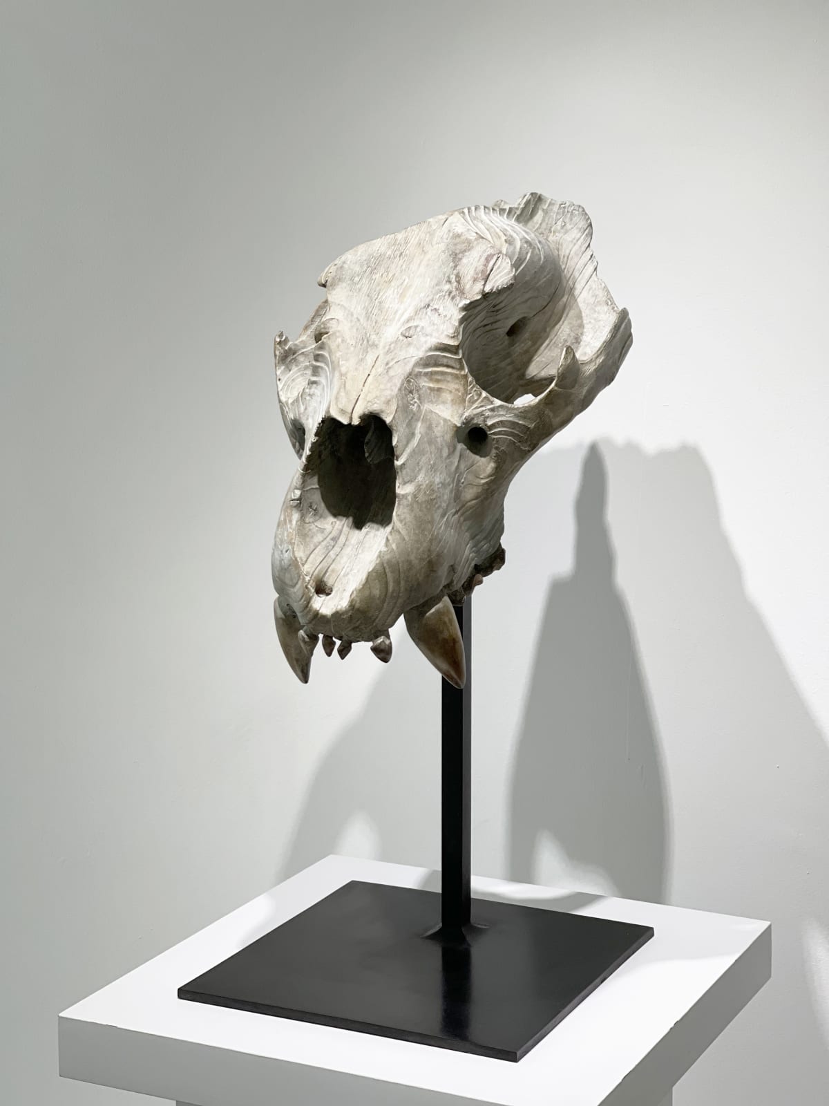 Quentin Garel, Skull of the Lion, 2012