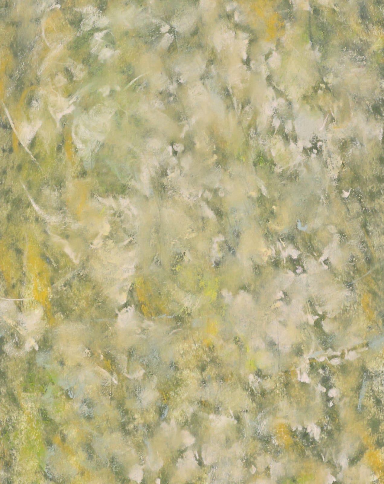 Yanqing Low, Yellow Fever, 2024