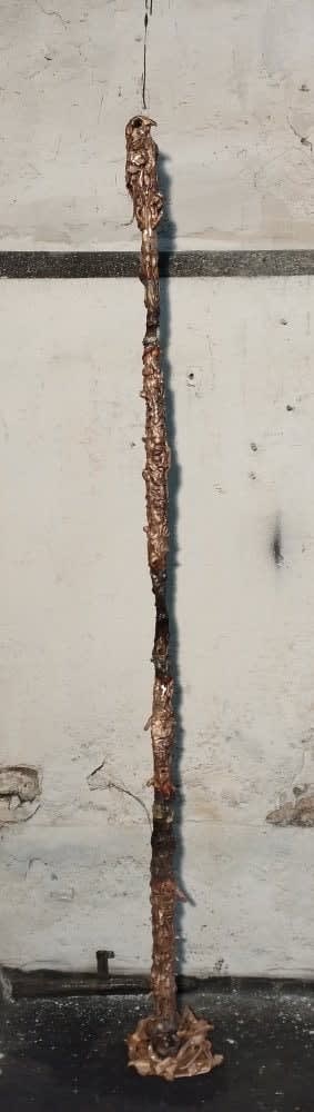 Lionel Sabatté, Champ d'oiseau du 04-03-2023, 2023