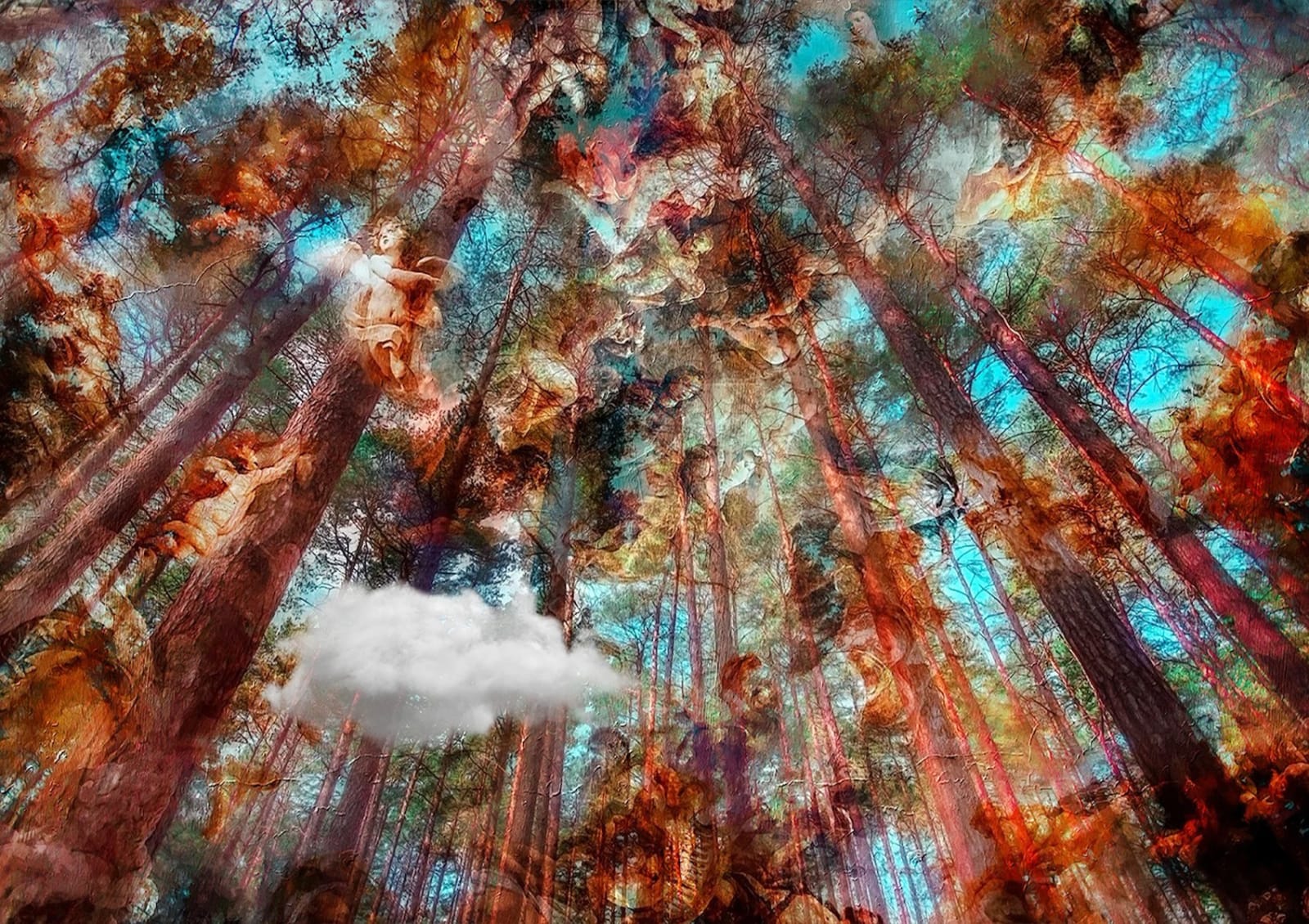 Cristina Schek, The Ceiling In The Sky (BFAMI), 2022