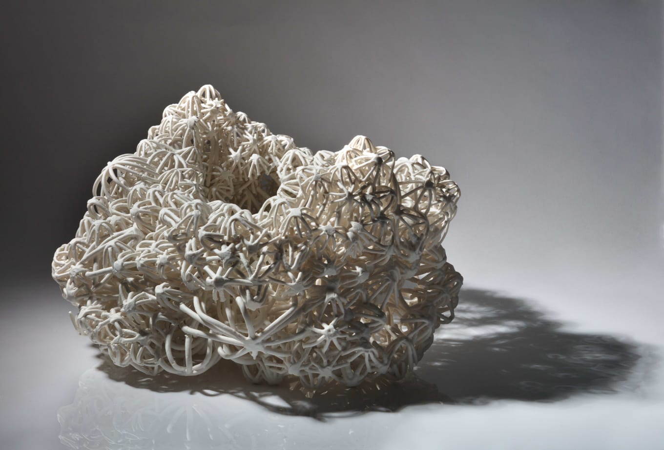 Nuala O'Donovan, Coral – Hollowed Form, 2018