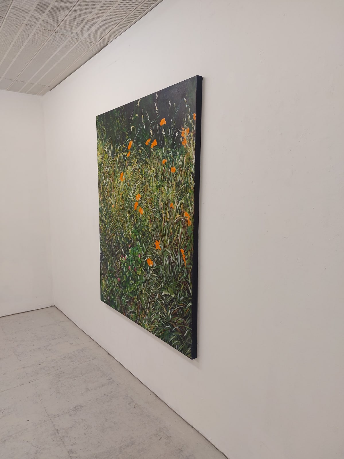 Daisy McMullan, Light Dreaming, 2024