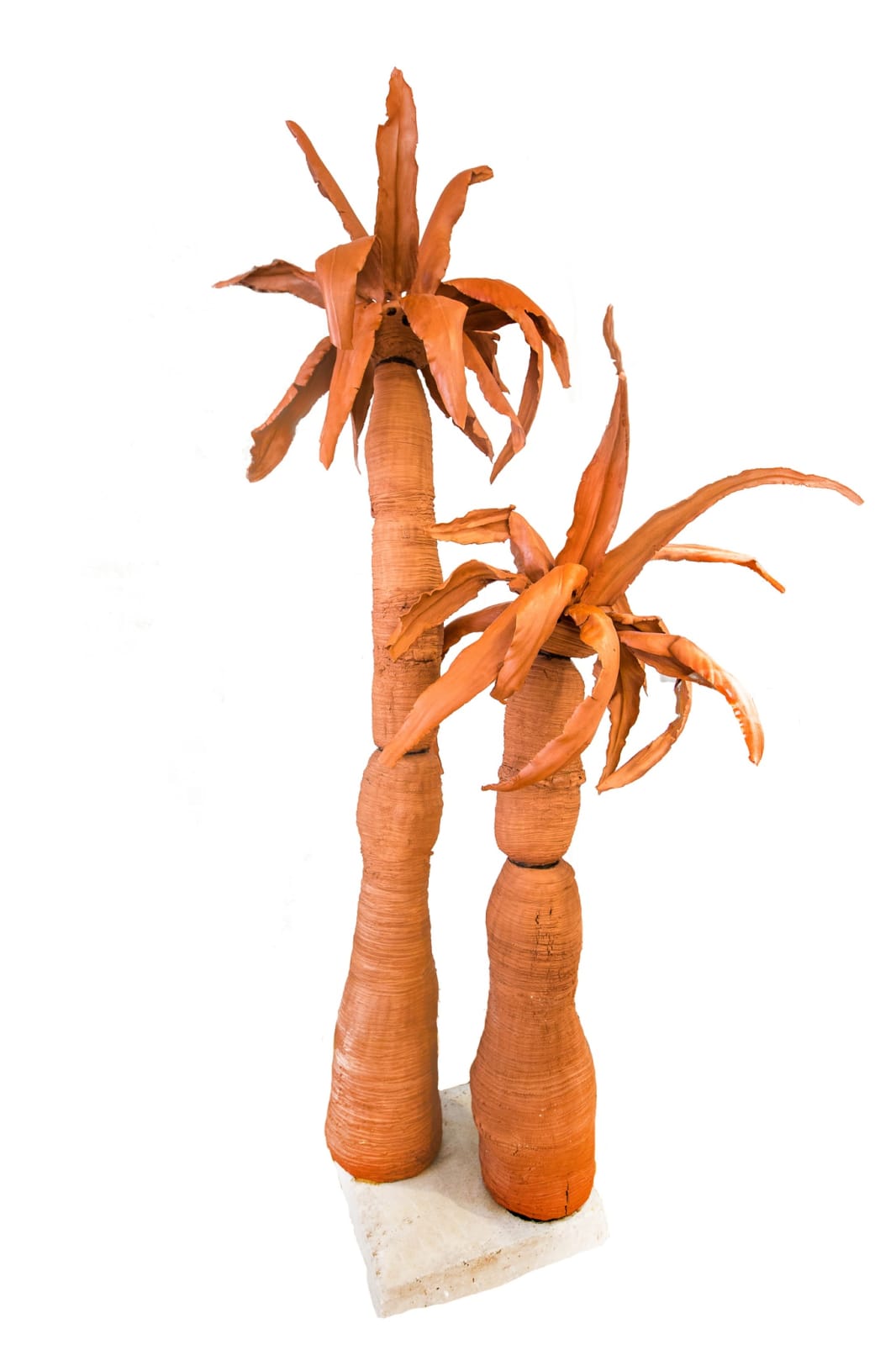 Mary O’Malley, Foreign Objects –XL Palm Tree Pair, 2016