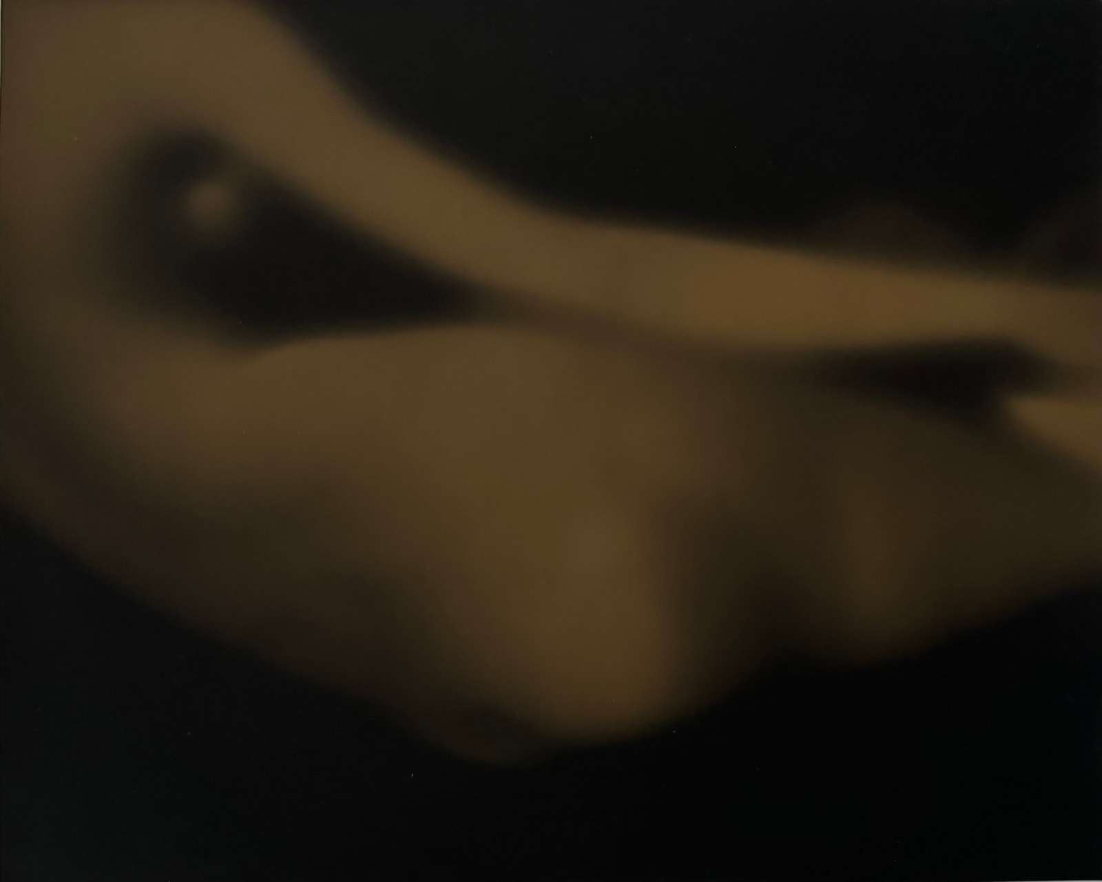 Robert Stivers. Toned silver gelatin.