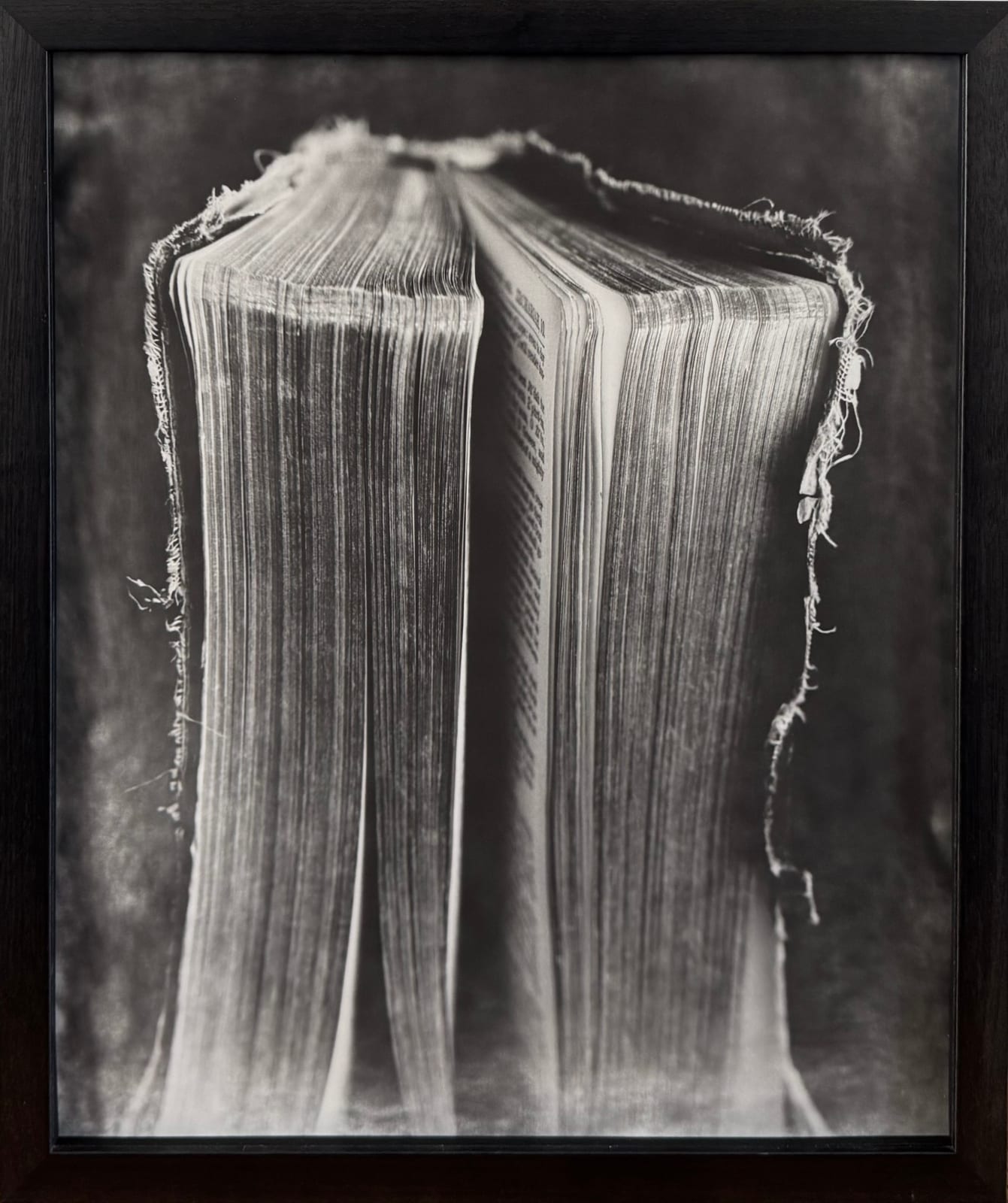Robert Stivers, Book, 2011