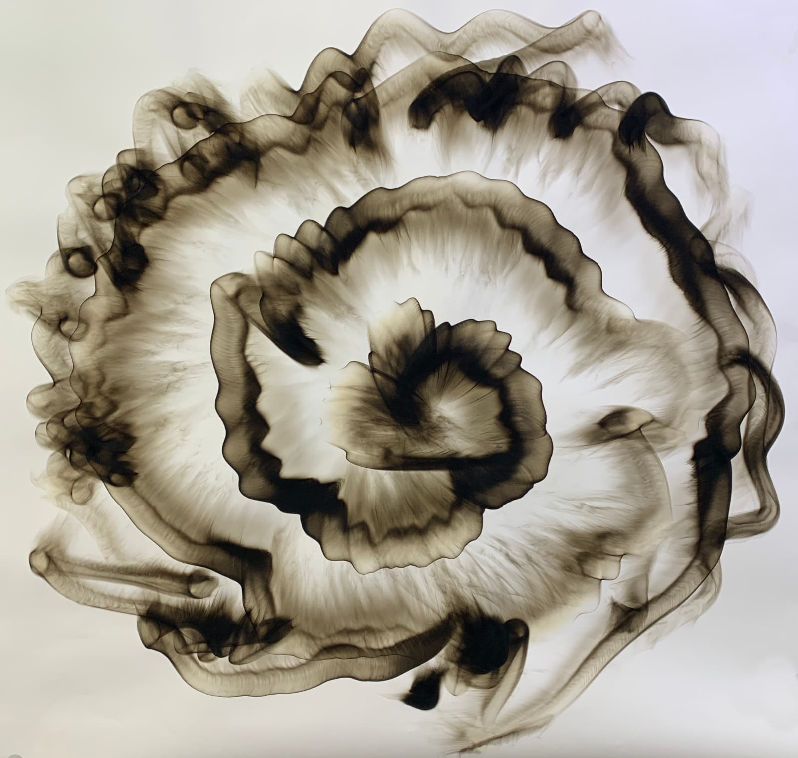 Dennis Lee Mitchell, The Spiral, 2020