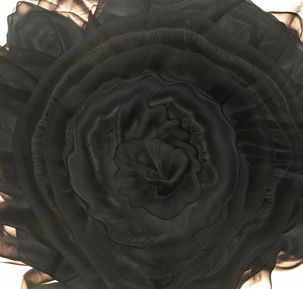 smoke on Smoke, 2021