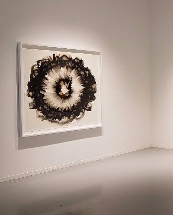 Dennis Lee Mitchell, Reflection 1, 2017