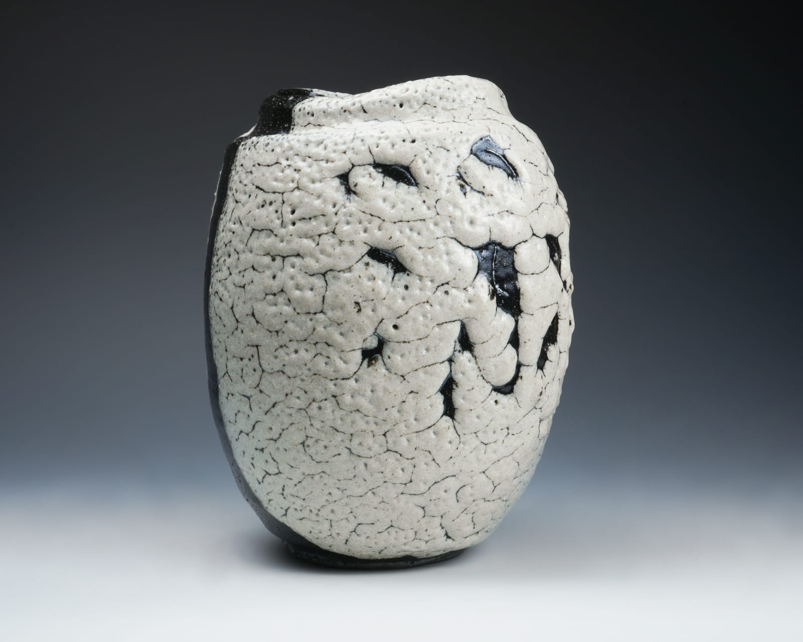 Shimizu Uichi 清水 卯一, Flat Jar With White Glaze 蓬莱掛分扁壷