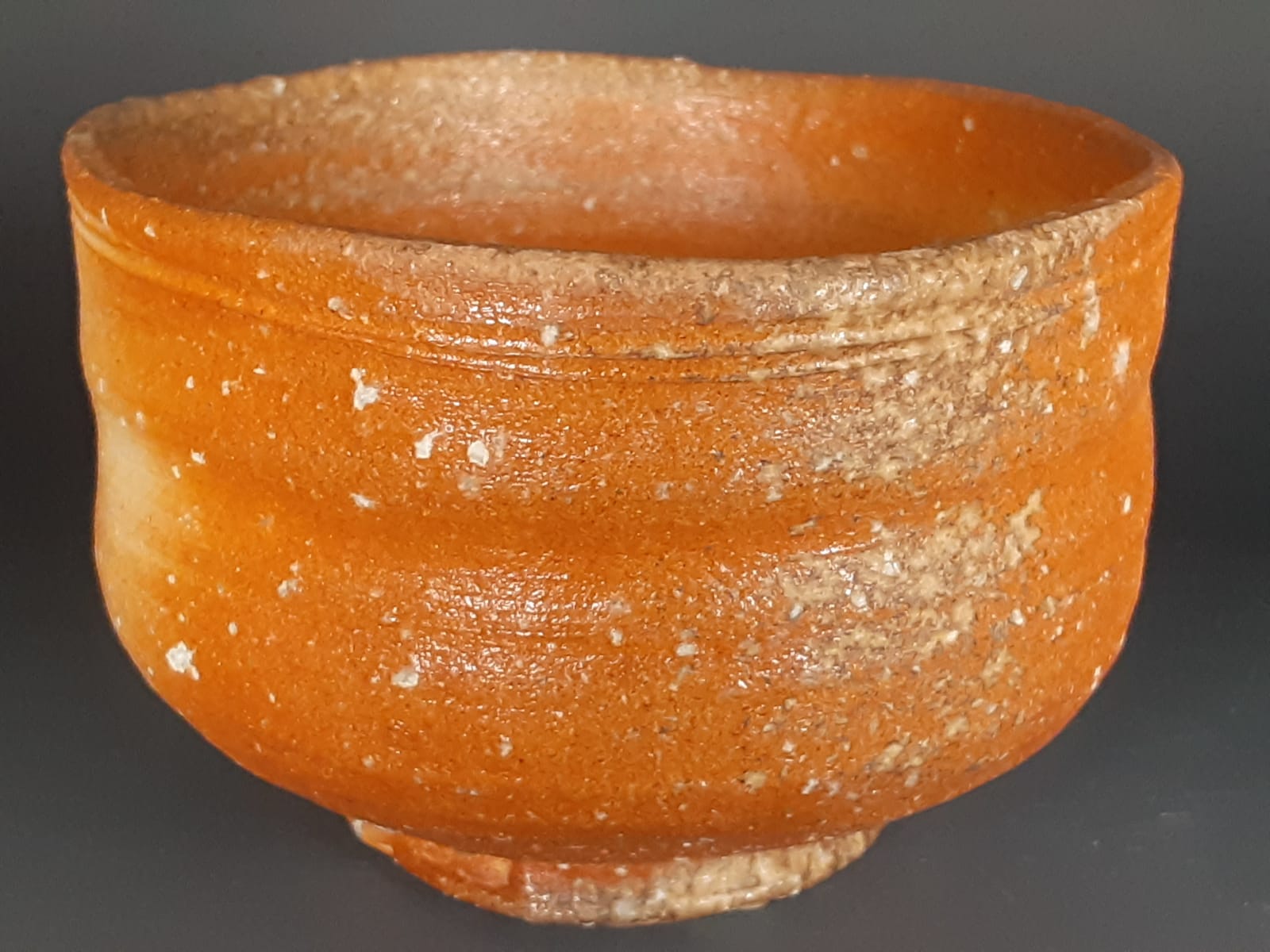 Takahashi Rakusai 高橋楽斎, Shigaraki Teabowl 信楽茶碗