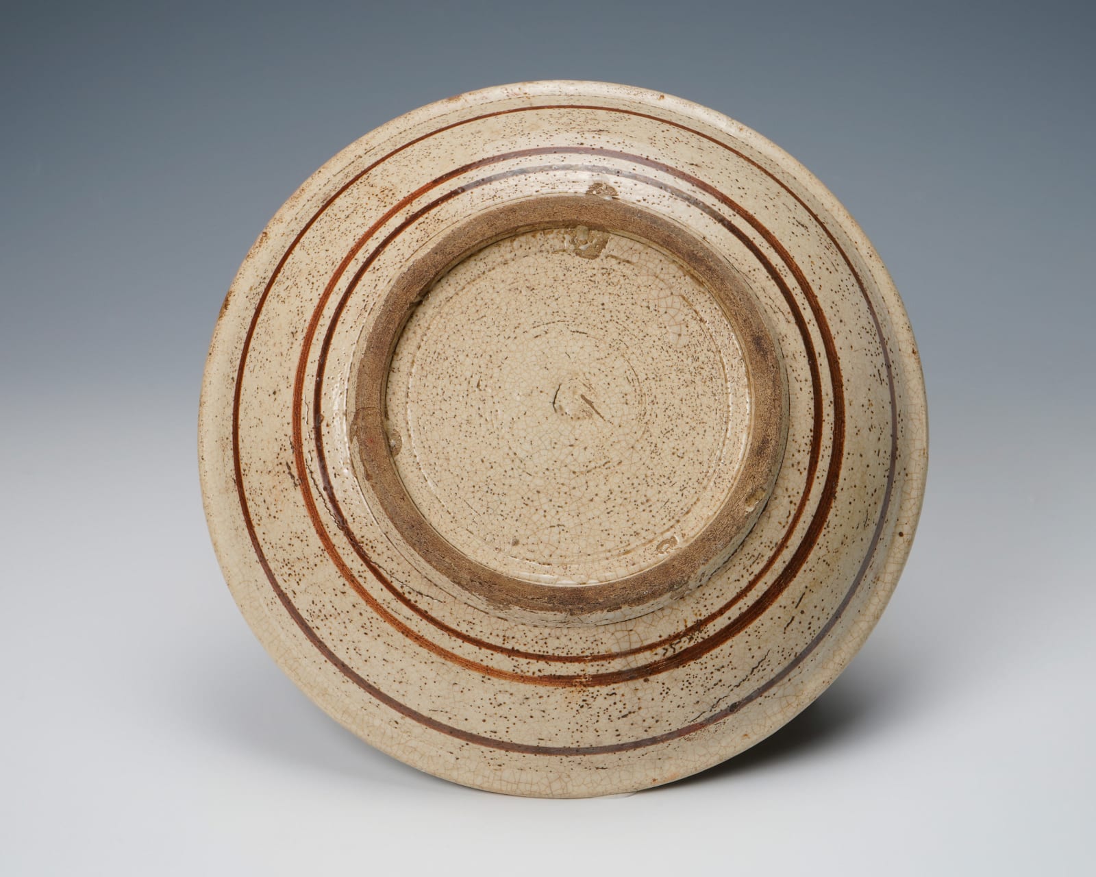 E Seto plate with iron painted bird and tree motifs 瀬戸皿 鉄絵鳥樹, Late Edo period 江戸時代後期 19世紀