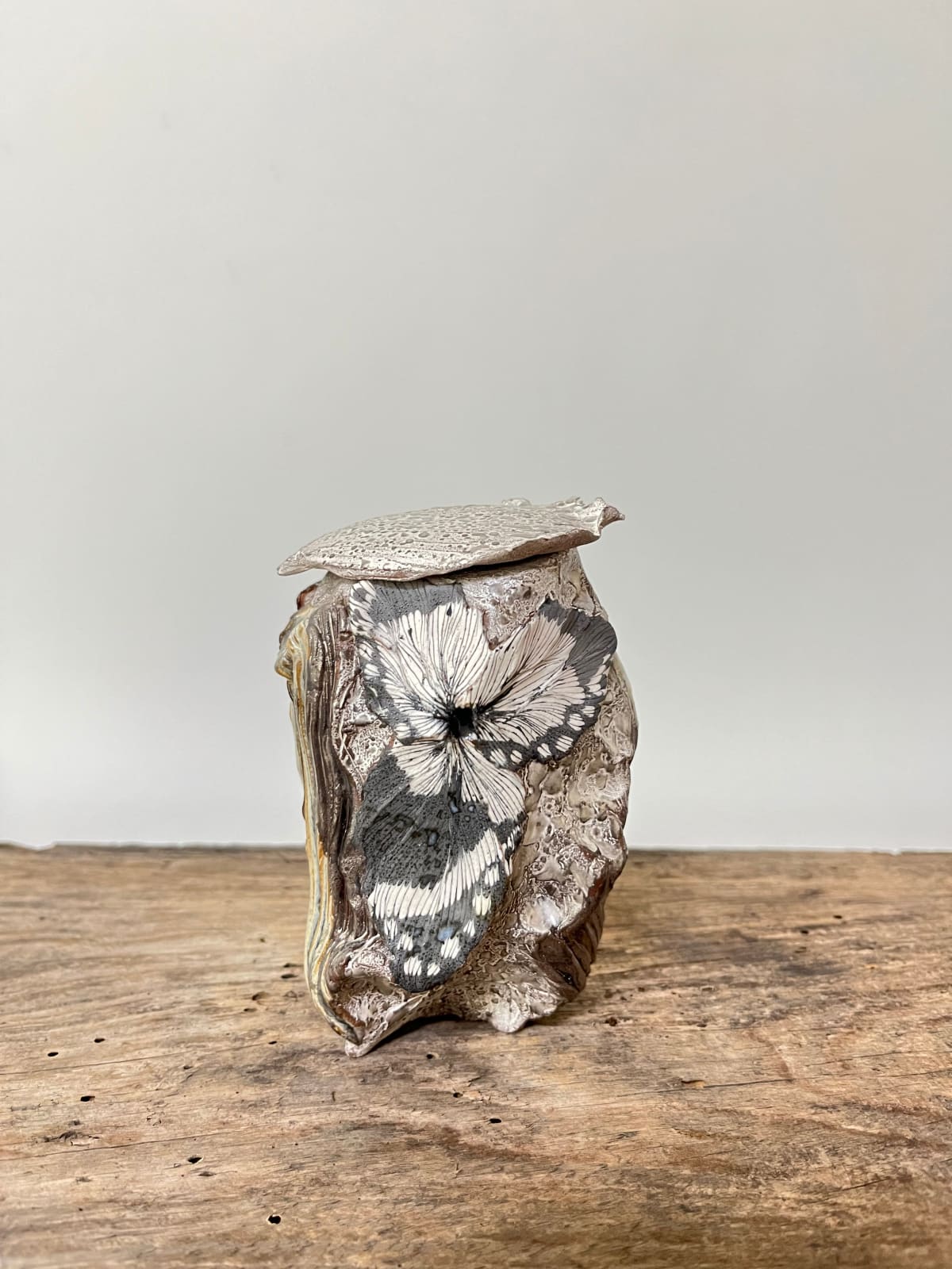 Shingu Sayaka 新宮さやか, No.1 "Calyx" tea caddy 萼容 茶入 , 2024