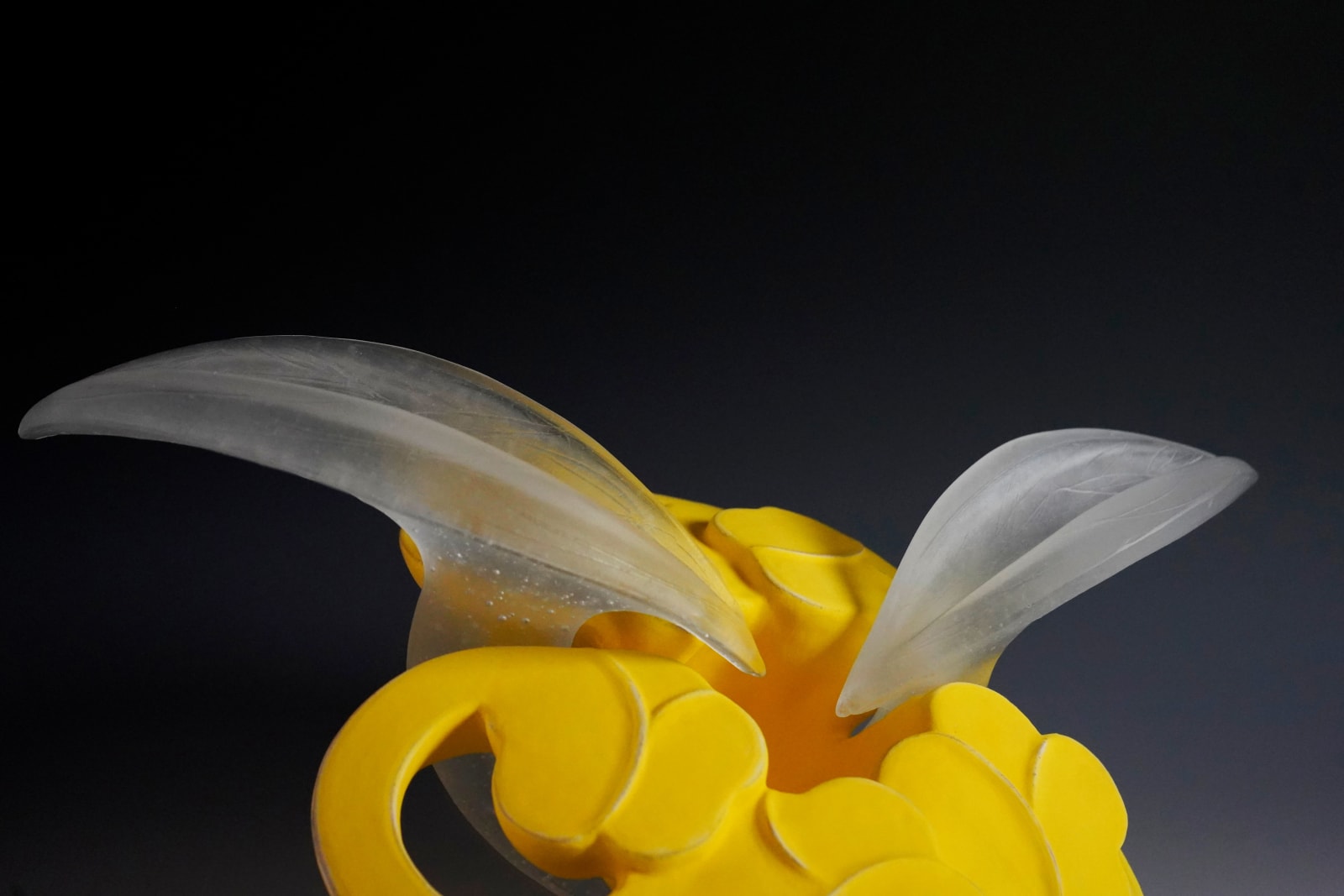 Tashima Etsuko 田嶋悦子, Cornucopia 09-Y9, 2009